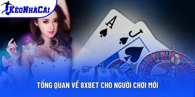 Tổng quan về 8xbet cho người chơi mới