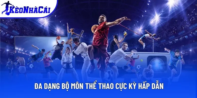 Đa dạng bộ môn thể thao cực kỳ hấp dẫn