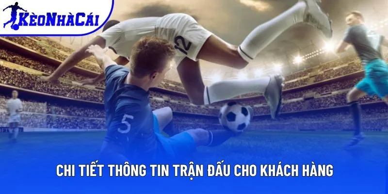 Chi tiết thông tin trận đấu cho khách hàng