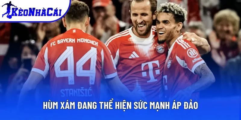 Hùm Xám đang thể hiện sức mạnh áp đảo